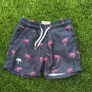 OAS size 2 Black Kids Swim Shorts with Pink Flamingos